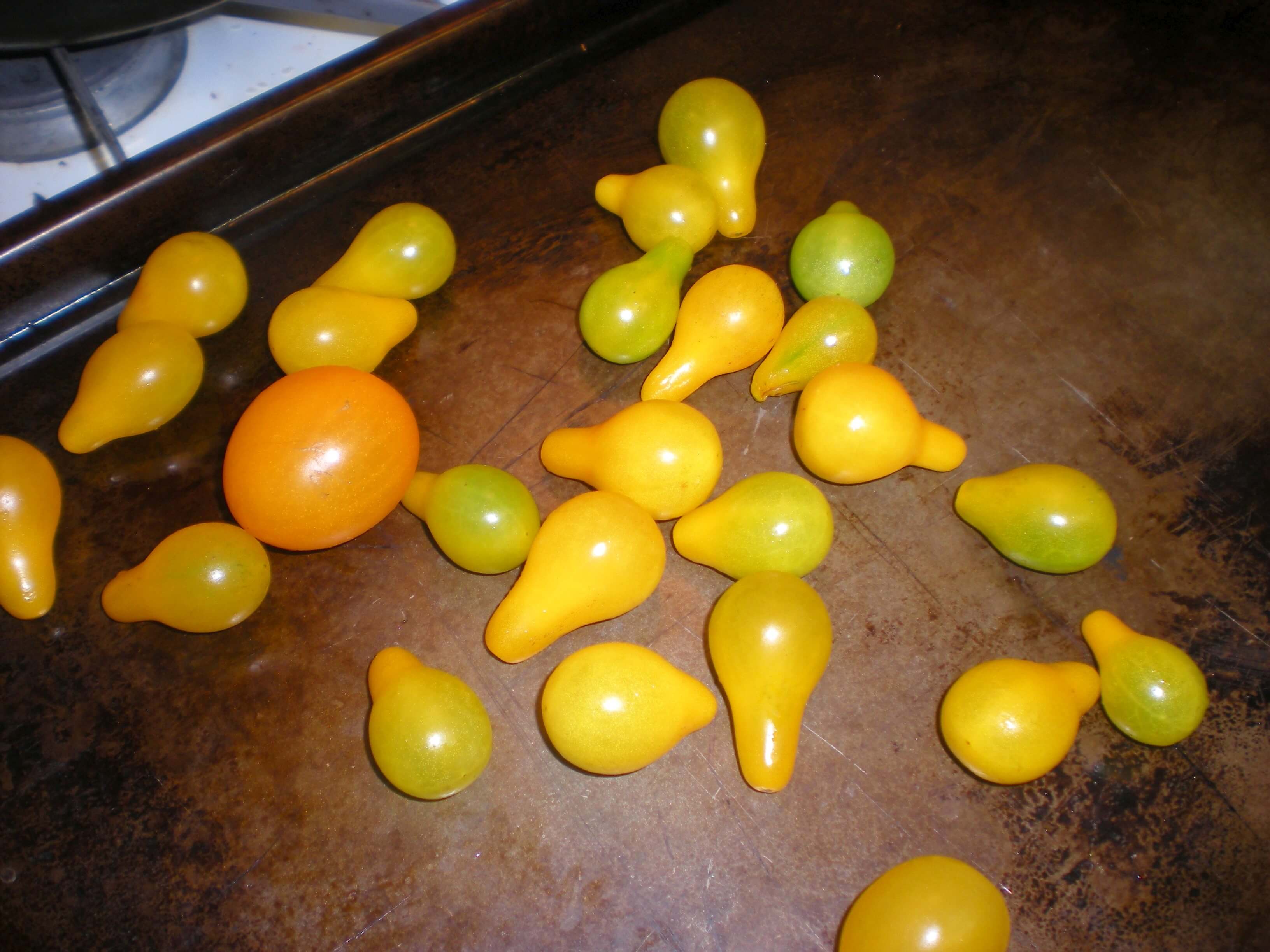 love these quirky little tomatoes!